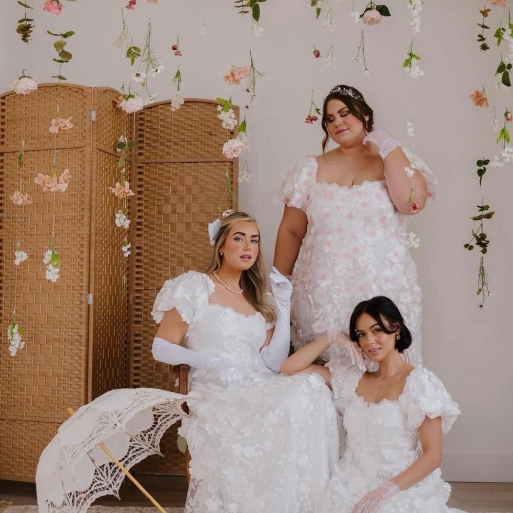 Regency Style Dress/Bridgerton Gown (Ava Gowns- Daphne) - Picture 4 of 10